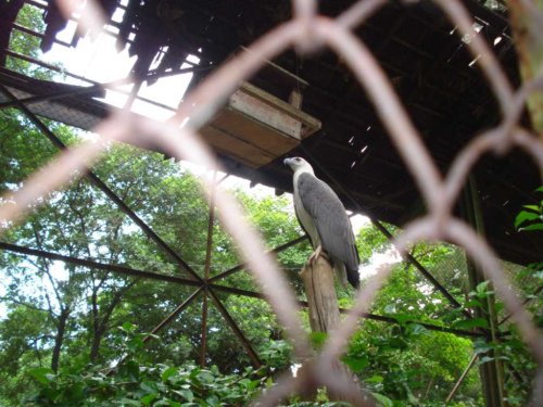 DSC03749_1